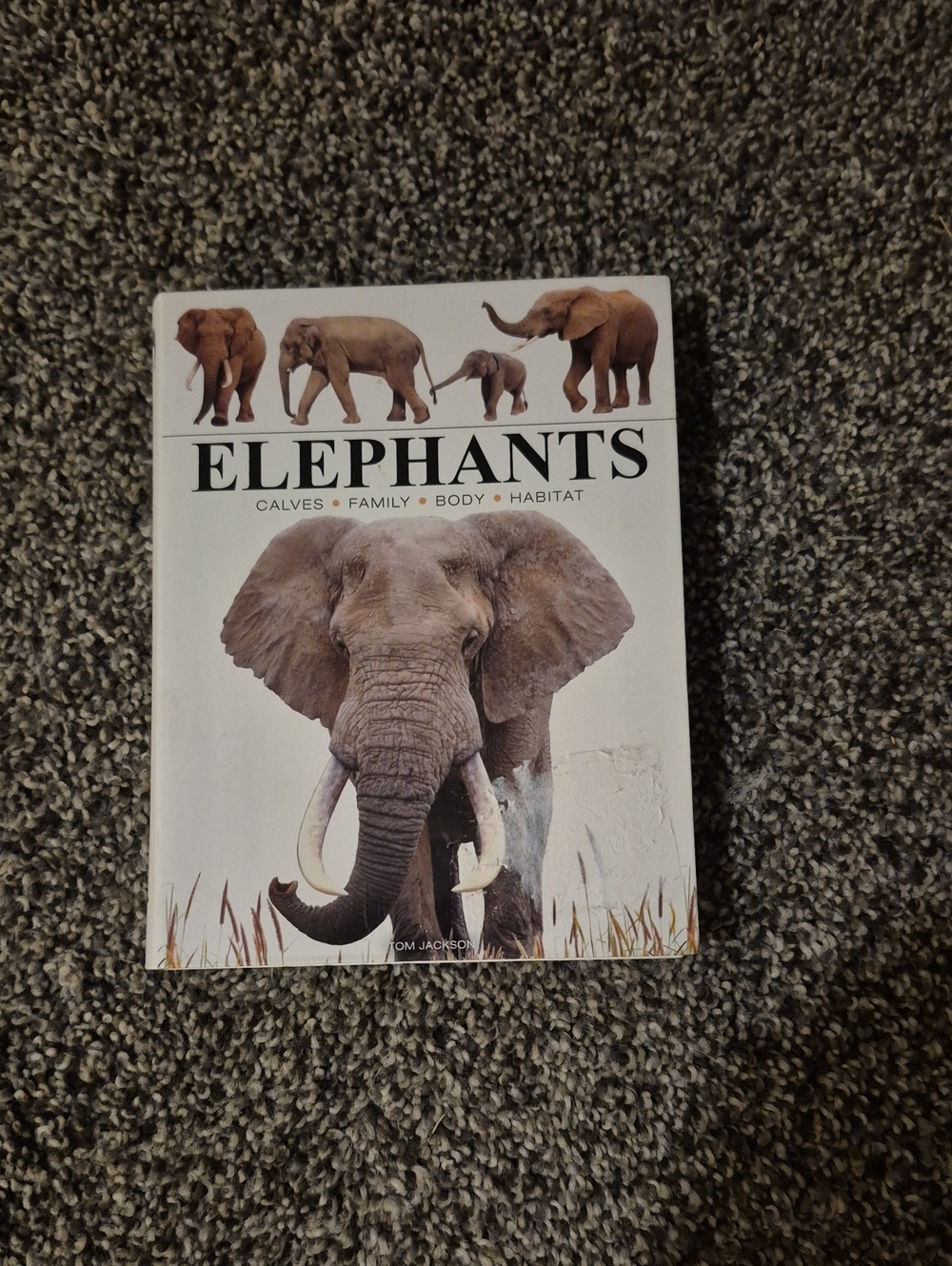 Elephants Decorative Hardcover Book – White and Brown